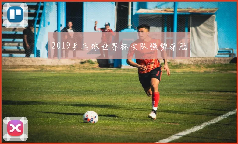 2019乒乓球世界杯女队强势夺冠