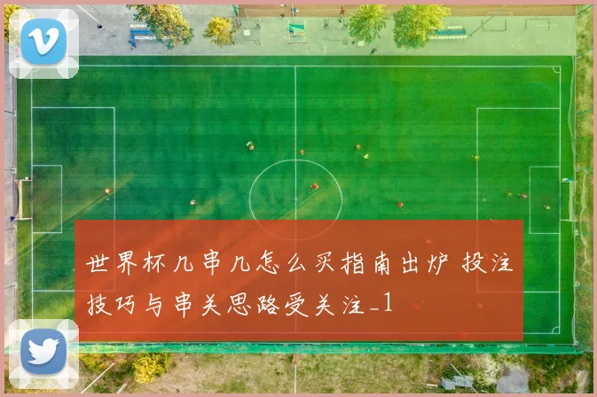世界杯几串几怎么买指南出炉 投注技巧与串关思路受关注_1