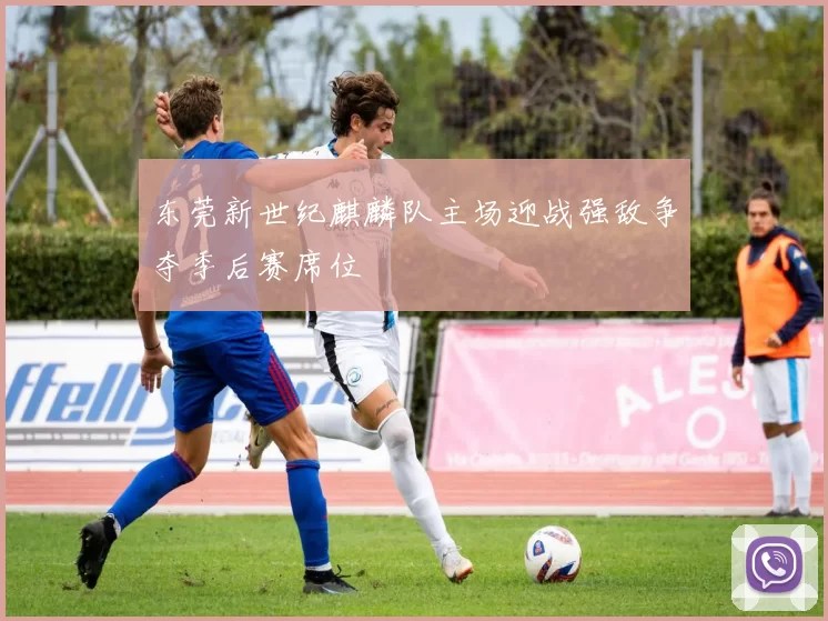 东莞新世纪麒麟队主场迎战强敌争夺季后赛席位