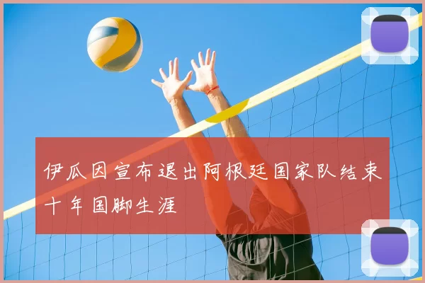 伊瓜因宣布退出阿根廷国家队结束十年国脚生涯