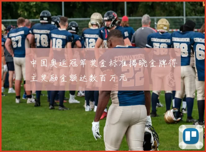 中国奥运冠军奖金标准揭晓金牌得主奖励金额达数百万元